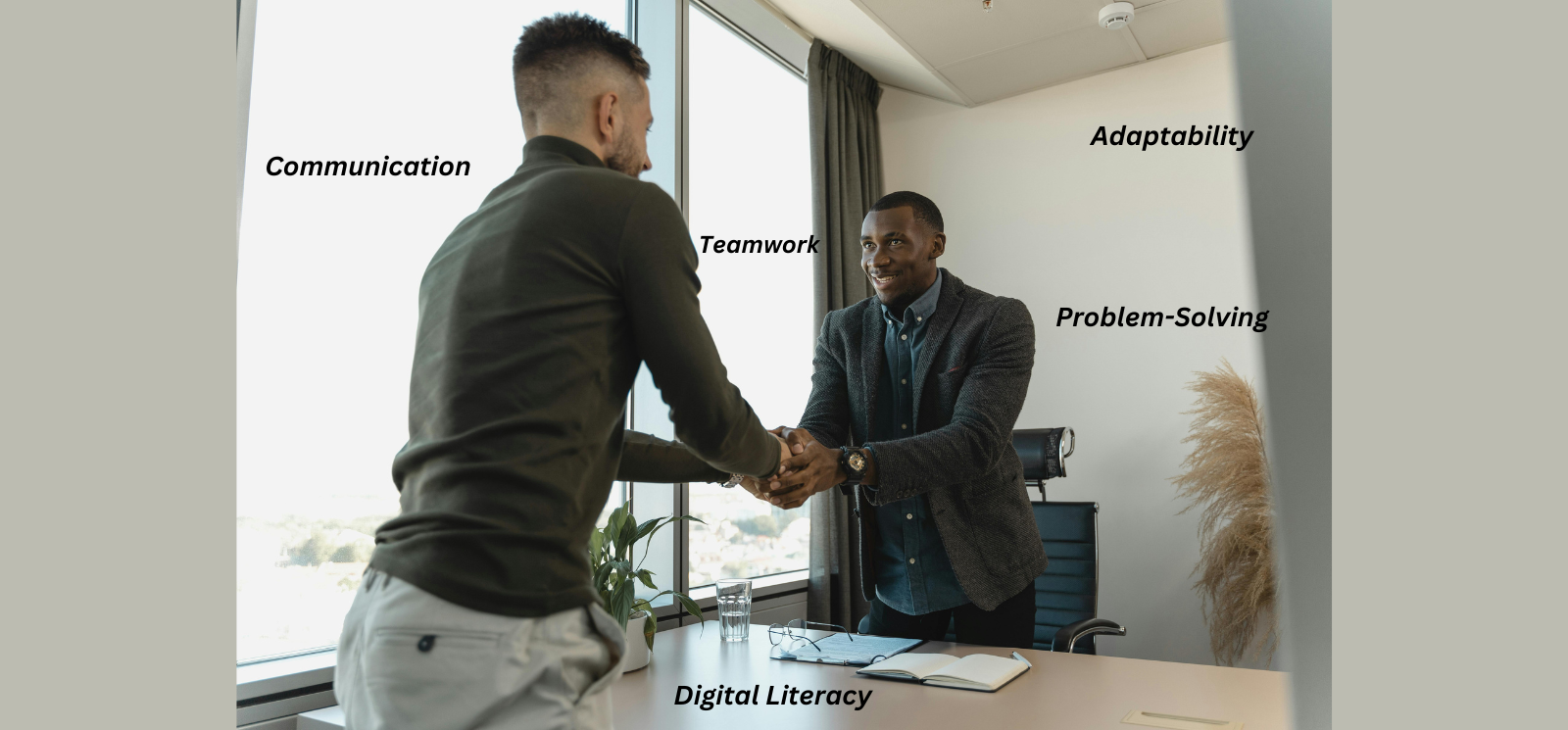 5 Essential Skills Every Job Seeker Needs